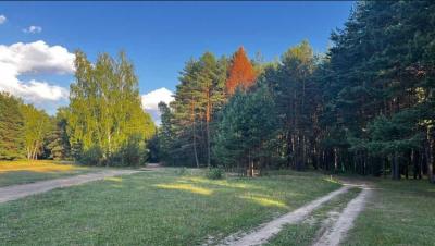 Тишковец: во вторник в Москве ожидаются дожди и потепление до +10&deg;