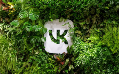 Акции VK резко выросли на фоне ограничений Telegram